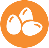 Huevos Huevos