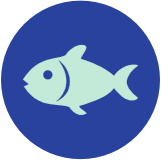 Pescado Pescado