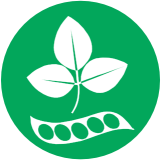 Soja Soja